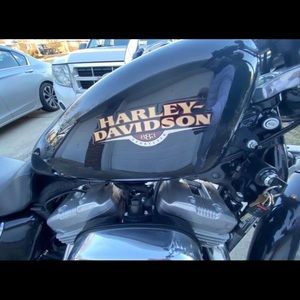Harley davidson 883